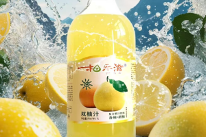 柚乐滋：双柚交织的自然风味，开启健康饮品新体验