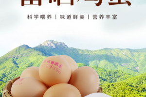 “享裕”创始人顾全科先生：以专业深耕蛋鸡养殖，用责任守护食品安全